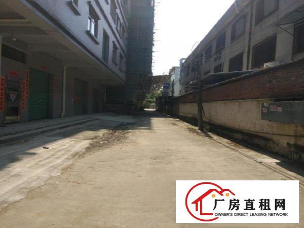  金桔村独栋600平厂房一二楼可整租
