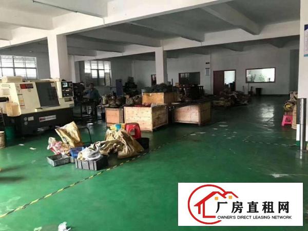  大岭山原房东独院标准厂房出租现成办公室现成装修