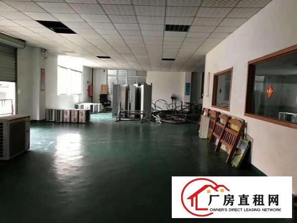  大岭山原房东独院标准厂房出租现成办公室现成装修