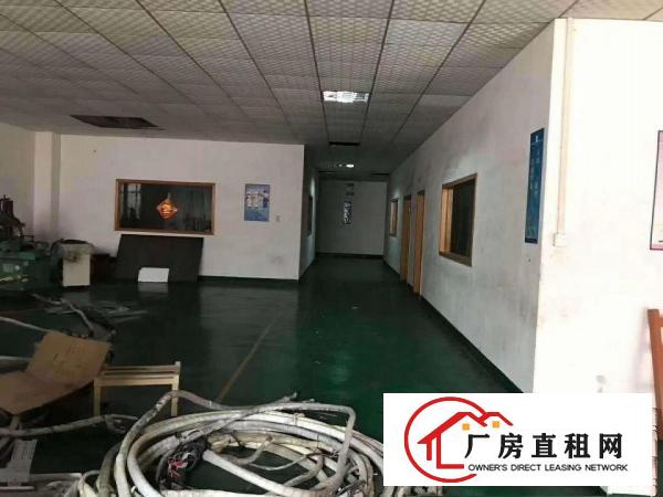  大岭山原房东独院标准厂房出租现成办公室现成装修