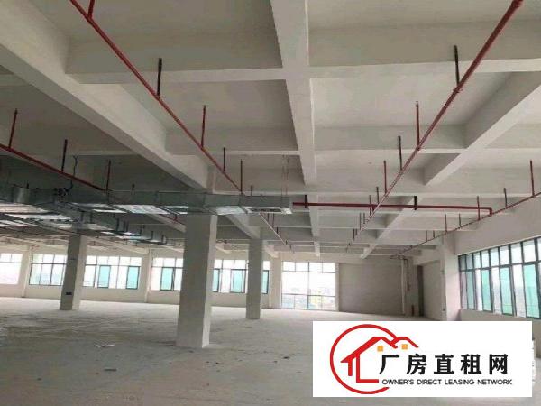  大岭山新建重工业厂房出租