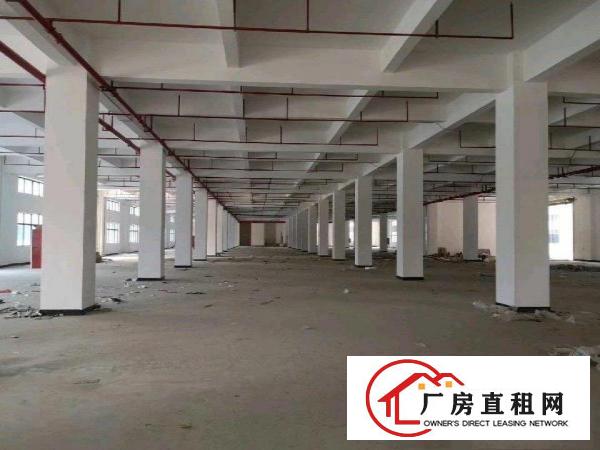  大岭山新建重工业厂房出租