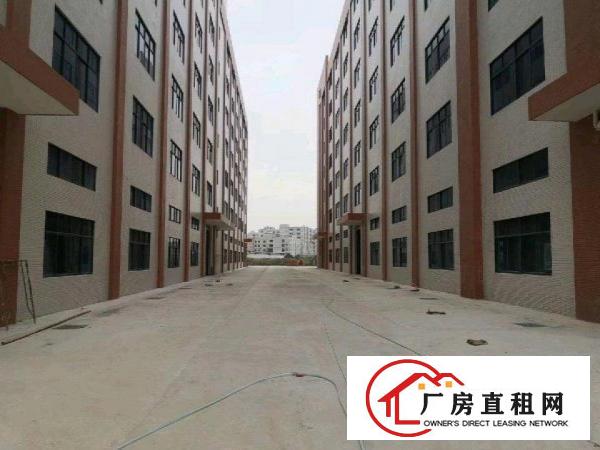  大岭山新建重工业厂房出租