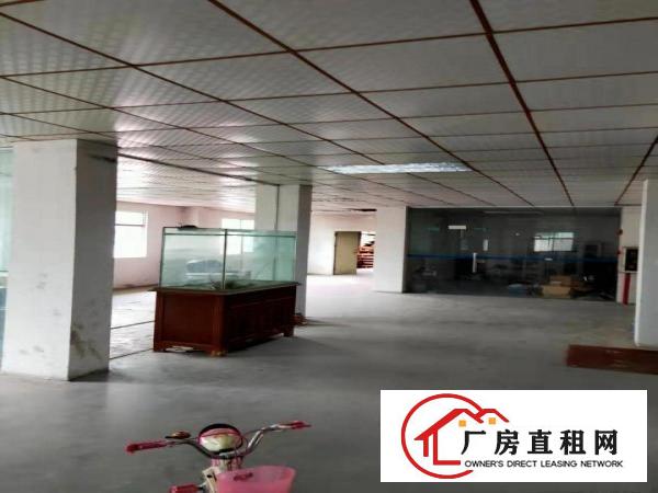  独立厂房二楼诚心出租