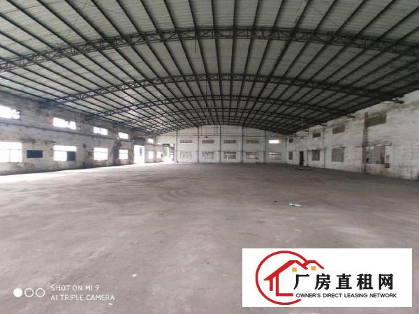  大岭山单一层独门独院可办环评厂房