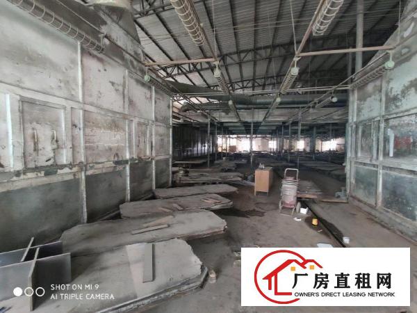  大岭山单一层独门独院可办环评厂房