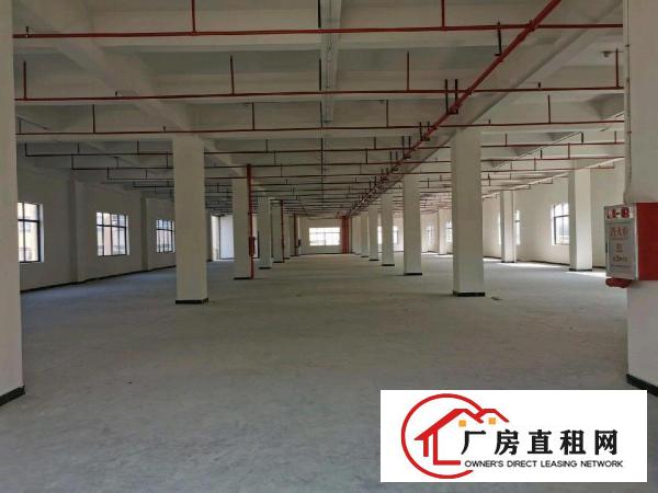  高科技园标准厂房出租