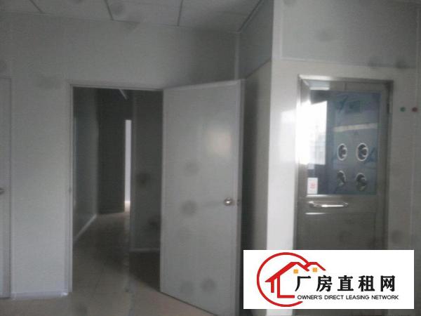  大岭山无尘车间厂房出租