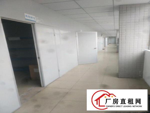  大岭山无尘车间厂房出租