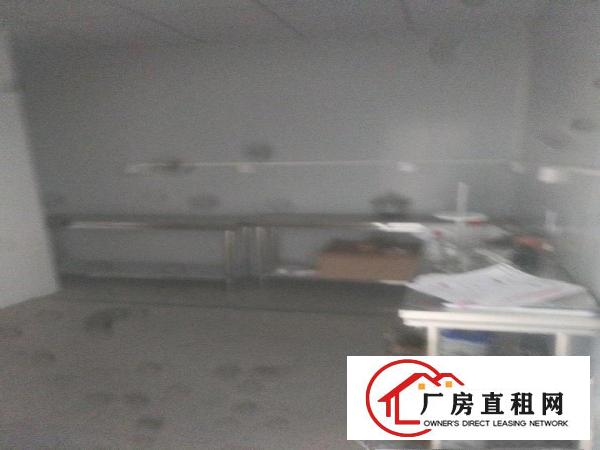  大岭山无尘车间厂房出租
