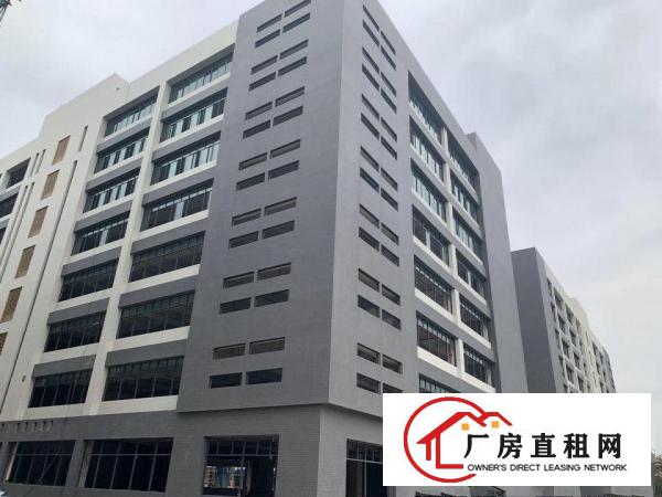 标准厂房出租大岭山高科技园