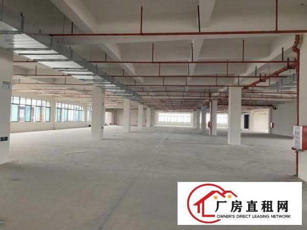  标准厂房出租大岭山高科技园
