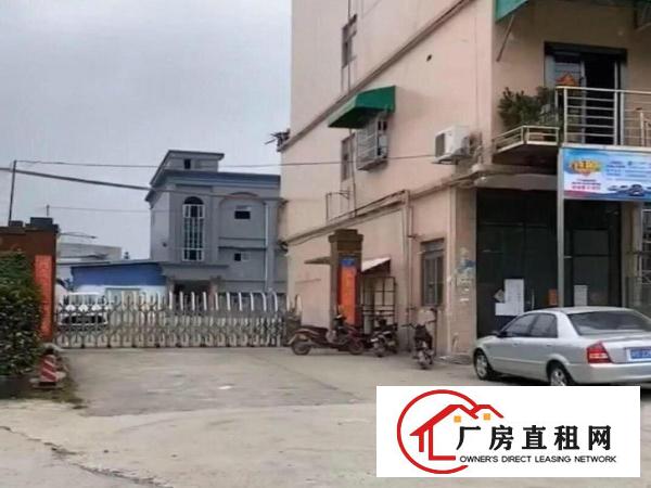  大岭山鸡翅岭自家万平厂房
