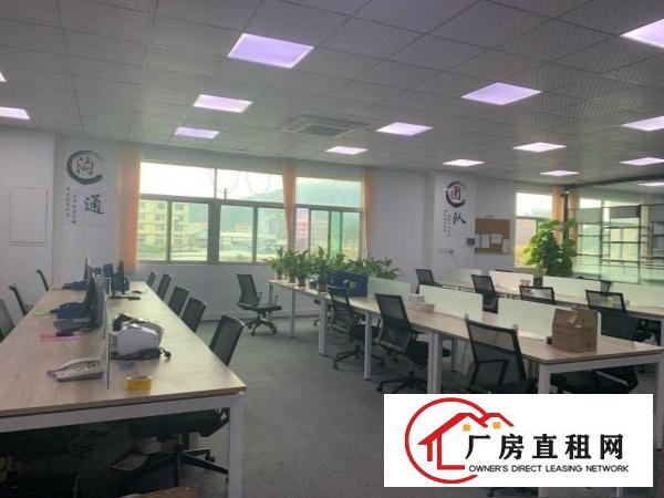  出租杨屋办公室带装修水电空调齐全租金面议