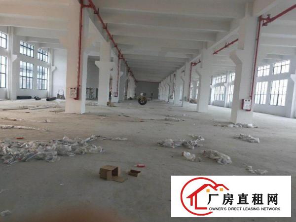  大岭山全新标准厂房独院50000平方，