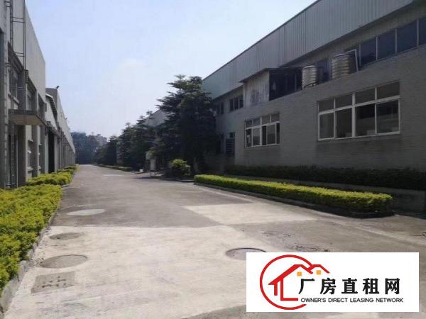  标准独栋钢构厂房出租