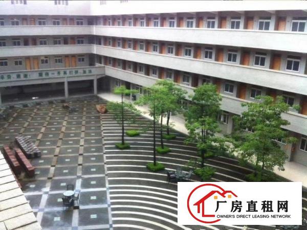  标准独栋钢构厂房出租