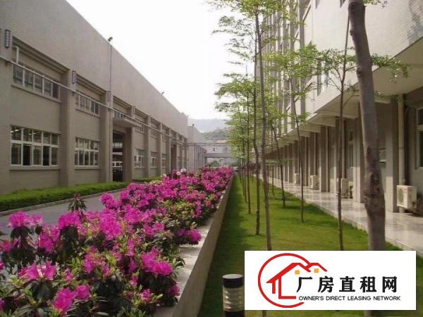  标准独栋钢构厂房出租