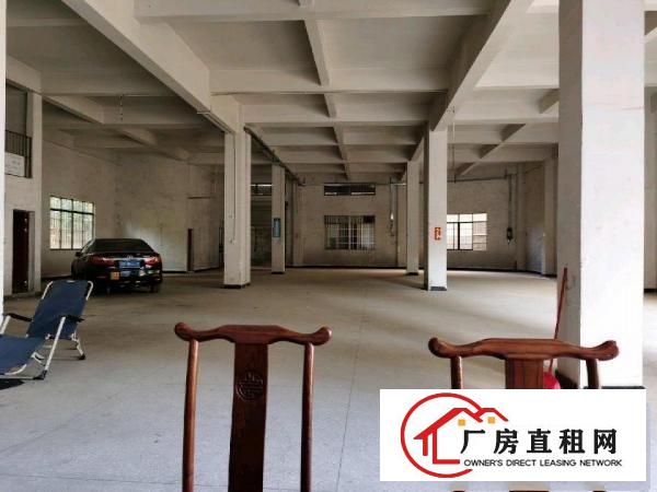  全新标准厂房一楼（6米高）