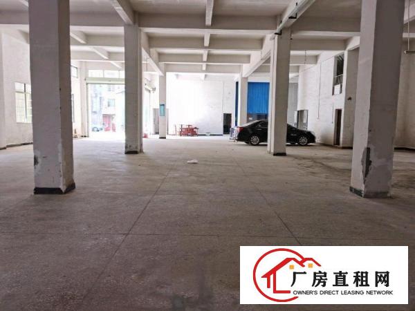  全新标准厂房一楼（6米高）