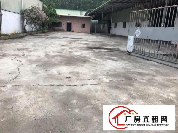  原房东独院出租可以分租