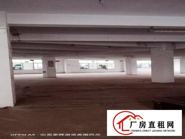  厂房招租一手房东招商独门独院办公食堂宿舍配套