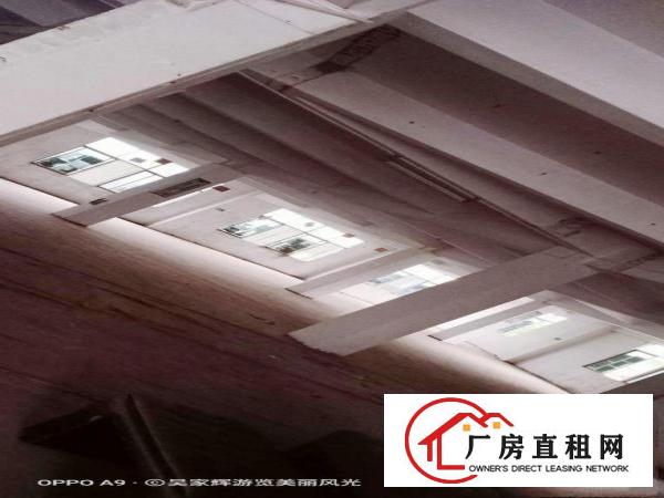  厂房招租一手房东招商独门独院办公食堂宿舍配套