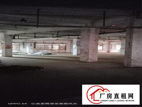  厂房招租一手房东招商独门独院办公食堂宿舍配套
