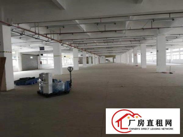  大岭山镇镇中心附近工业园楼上整层6800平方可分租厂房招租