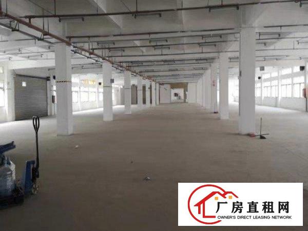  大岭山镇镇中心附近工业园楼上整层6800平方可分租厂房招租
