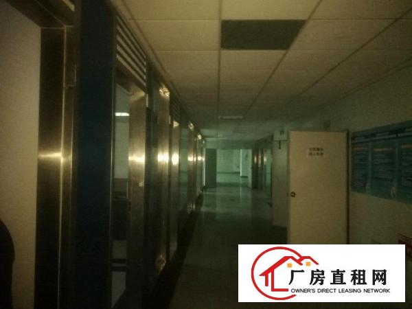  大岭山新出万级无尘车间出租