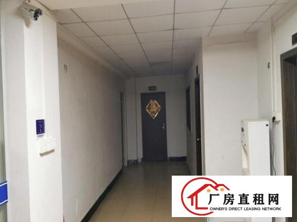  大岭山厚大路边独栋厂房二楼整租