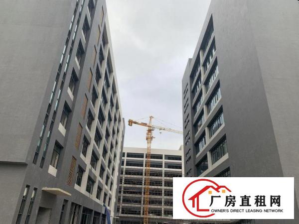  大岭山高科技园厂房出租