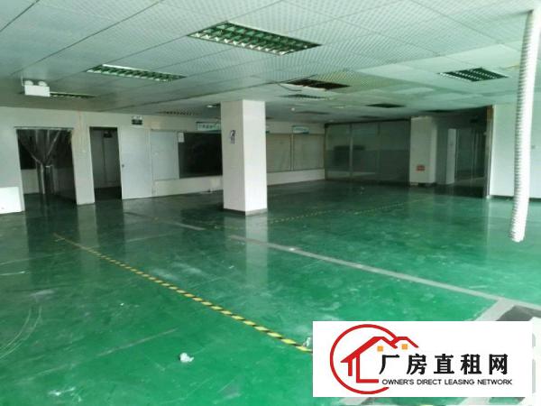  大岭山形象好无尘车间出租，价格实惠