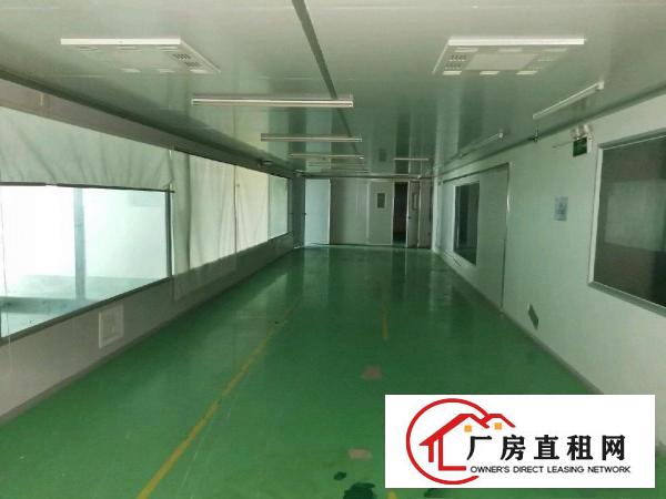  大岭山形象好无尘车间出租，价格实惠