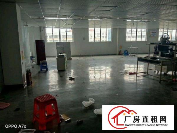  大量原房东，工业园厂房招租