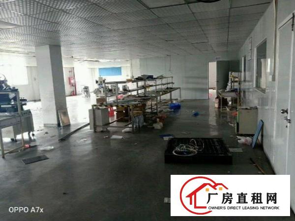  大量原房东，工业园厂房招租