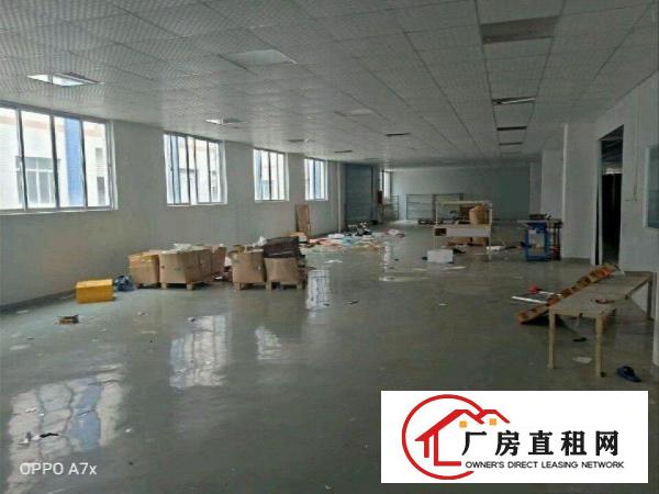  大量原房东，工业园厂房招租