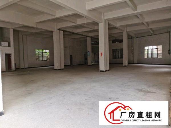  全新标准厂房（一楼1000方）