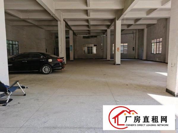  全新标准厂房（一楼1000方）