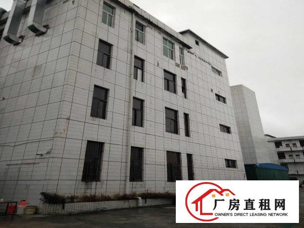  出租大岭山镇大岭山工业区