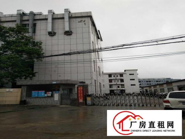  出租大岭山镇大岭山工业区