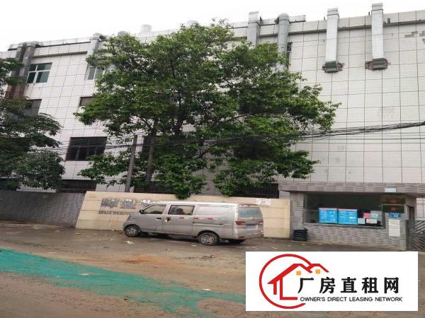  出租大岭山镇大岭山工业区