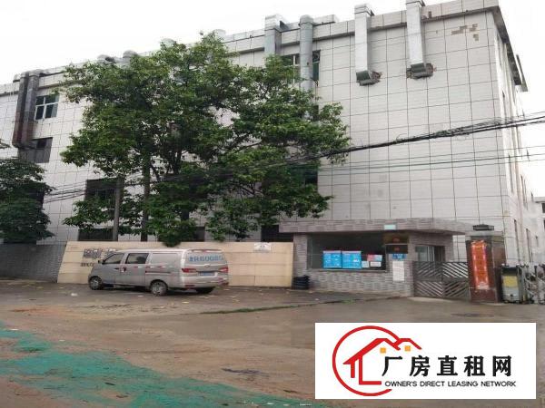  出租大岭山镇大岭山工业区