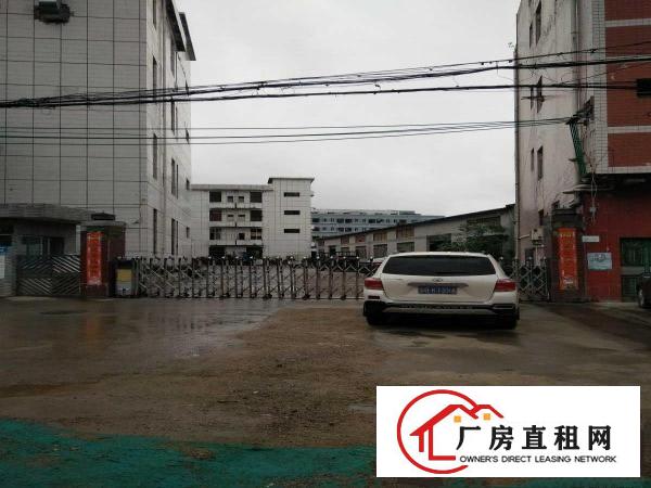  出租大岭山镇大岭山工业区