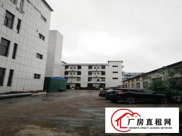  出租大岭山镇大片美工业区
