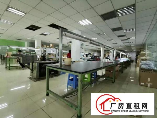  急招出租，大岭山实拍的2楼厂房2000平米，原房东，公摊小