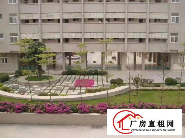  急招出租，大岭山实拍的2楼厂房2000平米，原房东，公摊小