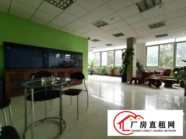  急招出租，大岭山实拍的2楼厂房2000平米，原房东，公摊小