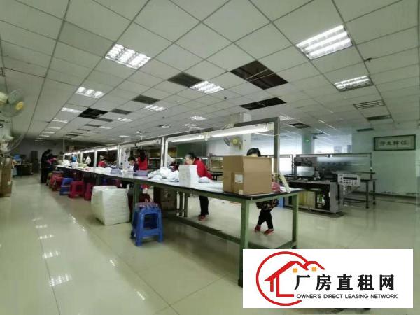  急招出租，大岭山实拍的2楼厂房2000平米，原房东，公摊小